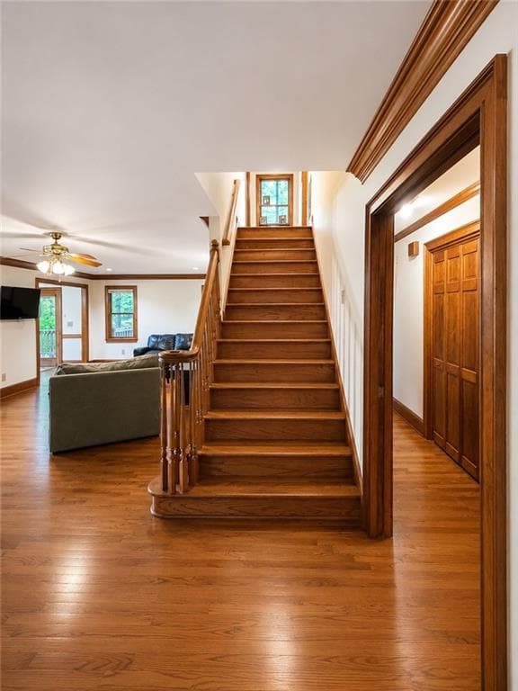 4 bedroom, 3 bathroom, 2,816 sq ft single family residence for sale at 180 Hale Mountain Court, Hiram, GA 30141 — photo 5