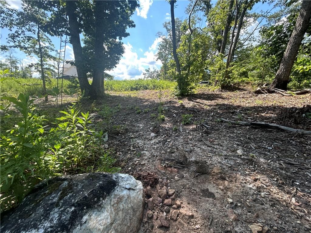 other for sale at 932 Sardis Road, Canton, GA 30114 — photo 4