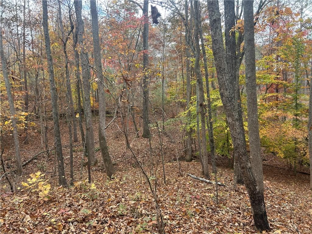 other for sale at 932 Sardis Road, Canton, GA 30114 — photo 9
