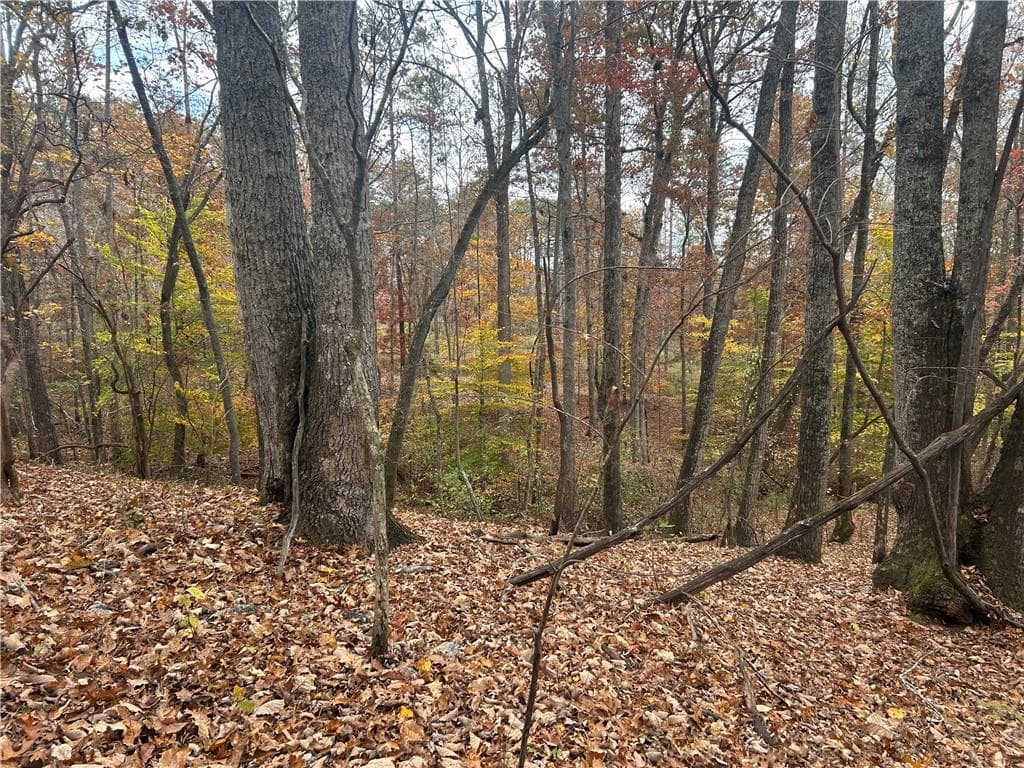 other for sale at 932 Sardis Road, Canton, GA 30114 — photo 10