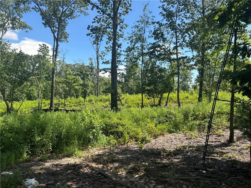 other for sale at 932 Sardis Road, Canton, GA 30114 — photo 5