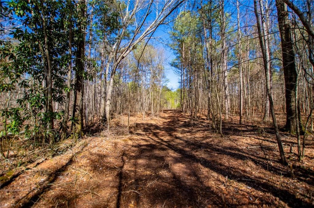 unimproved land for sale at 0 Hwy 166 E - 21+ acres, Bowdon, GA 30108