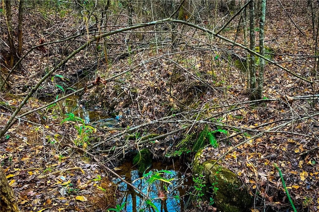 unimproved land for sale at 0 Hwy 166 E - 21+ acres, Bowdon, GA 30108 — photo 2