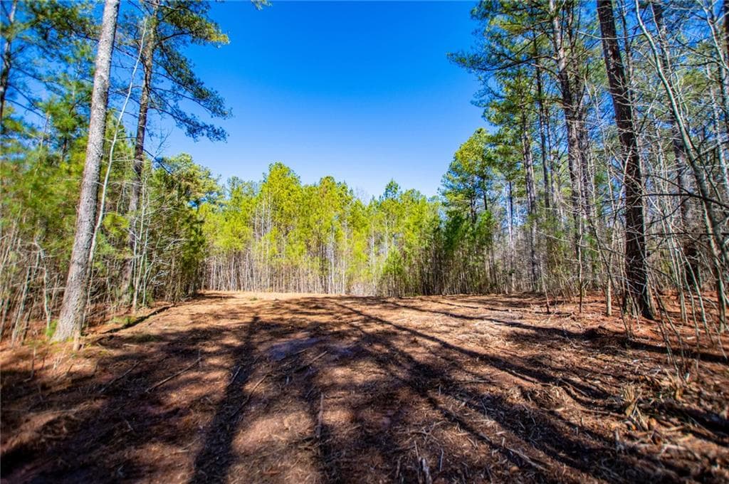 unimproved land for sale at 0 Hwy 166 E - 21+ acres, Bowdon, GA 30108 — photo 6