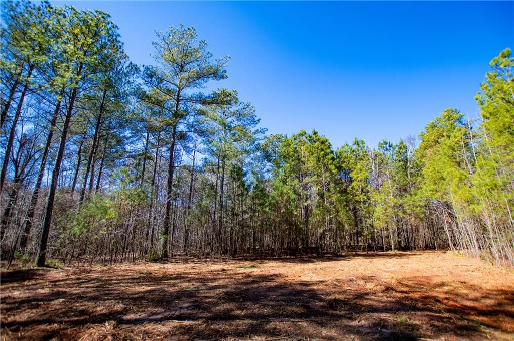 unimproved land for sale at 0 Hwy 166 E - 21+ acres, Bowdon, GA 30108 — photo 7