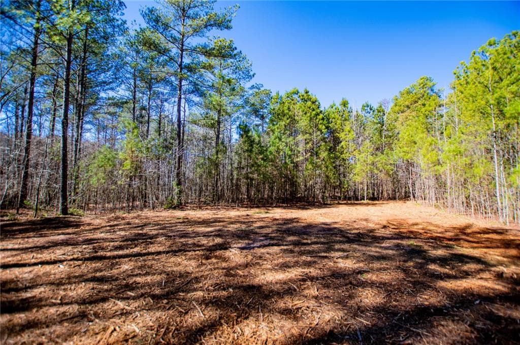 unimproved land for sale at 0 Hwy 166 E - 21+ acres, Bowdon, GA 30108 — photo 8