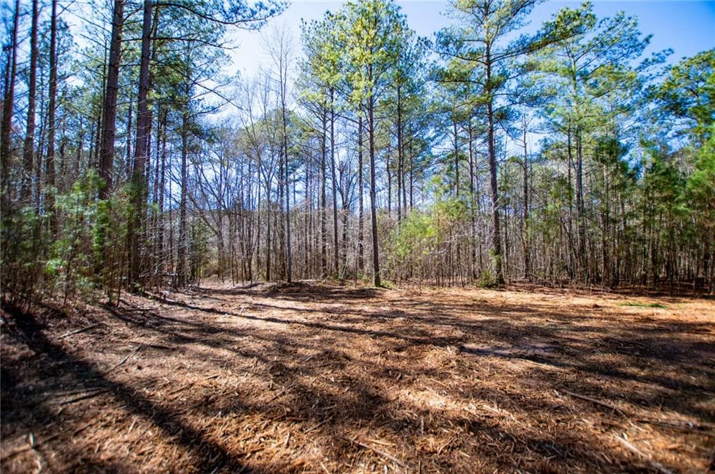 unimproved land for sale at 0 Hwy 166 E - 21+ acres, Bowdon, GA 30108 — photo 9
