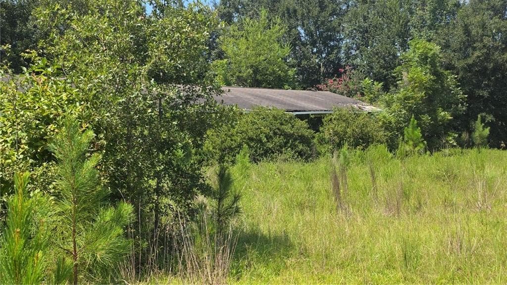 3 bedroom, 2 bathroom, 1,364 sq ft single family residence for sale at 159 Grimsley Road, Colquitt, GA 39837 — photo 2