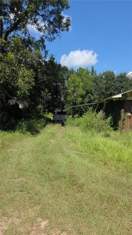 3 bedroom, 2 bathroom, 1,364 sq ft single family residence for sale at 159 Grimsley Road, Colquitt, GA 39837 — photo 3