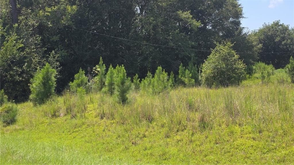 3 bedroom, 2 bathroom, 1,364 sq ft single family residence for sale at 159 Grimsley Road, Colquitt, GA 39837 — photo 4