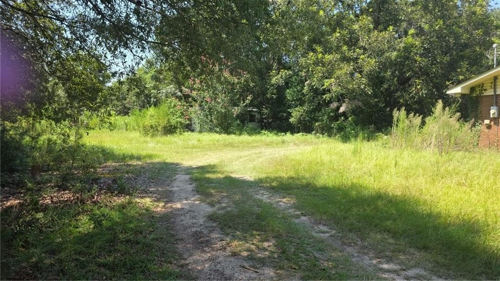 3 bedroom, 2 bathroom, 1,364 sq ft single family residence for sale at 159 Grimsley Road, Colquitt, GA 39837 — photo 7