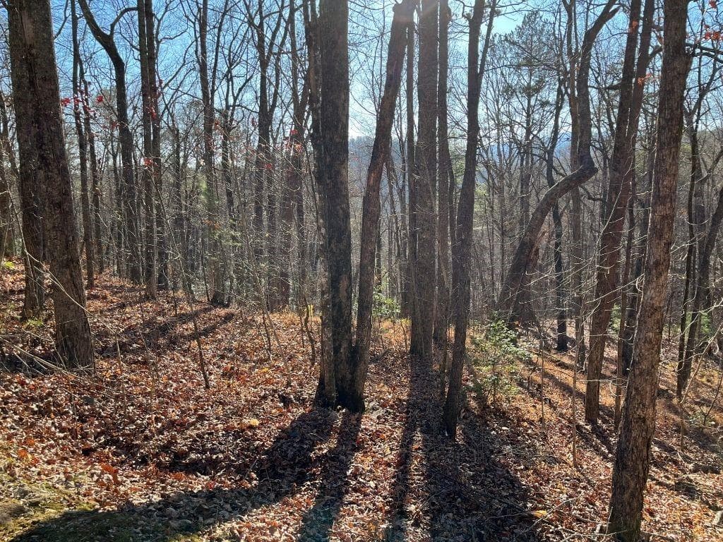unimproved land for sale at LOT #1 Forest Canopy Way, Clayton, GA 30525 — photo 1 of 7