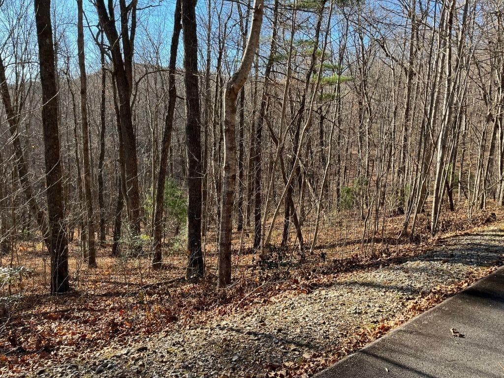 unimproved land for sale at LOT #1 Forest Canopy Way, Clayton, GA 30525 — photo 4