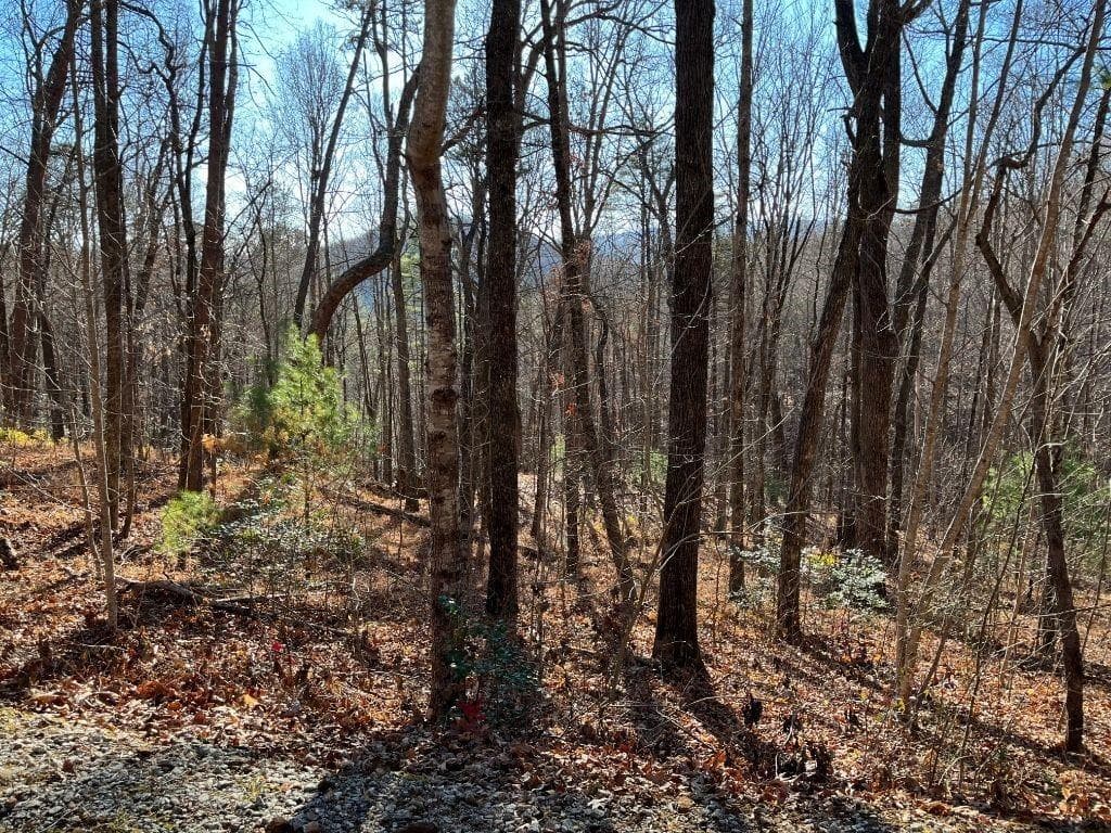 unimproved land for sale at LOT #1 Forest Canopy Way, Clayton, GA 30525 — photo 5