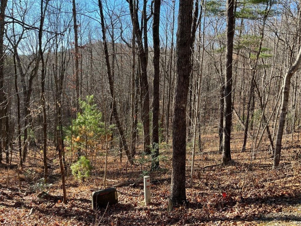 unimproved land for sale at LOT #1 Forest Canopy Way, Clayton, GA 30525 — photo 6