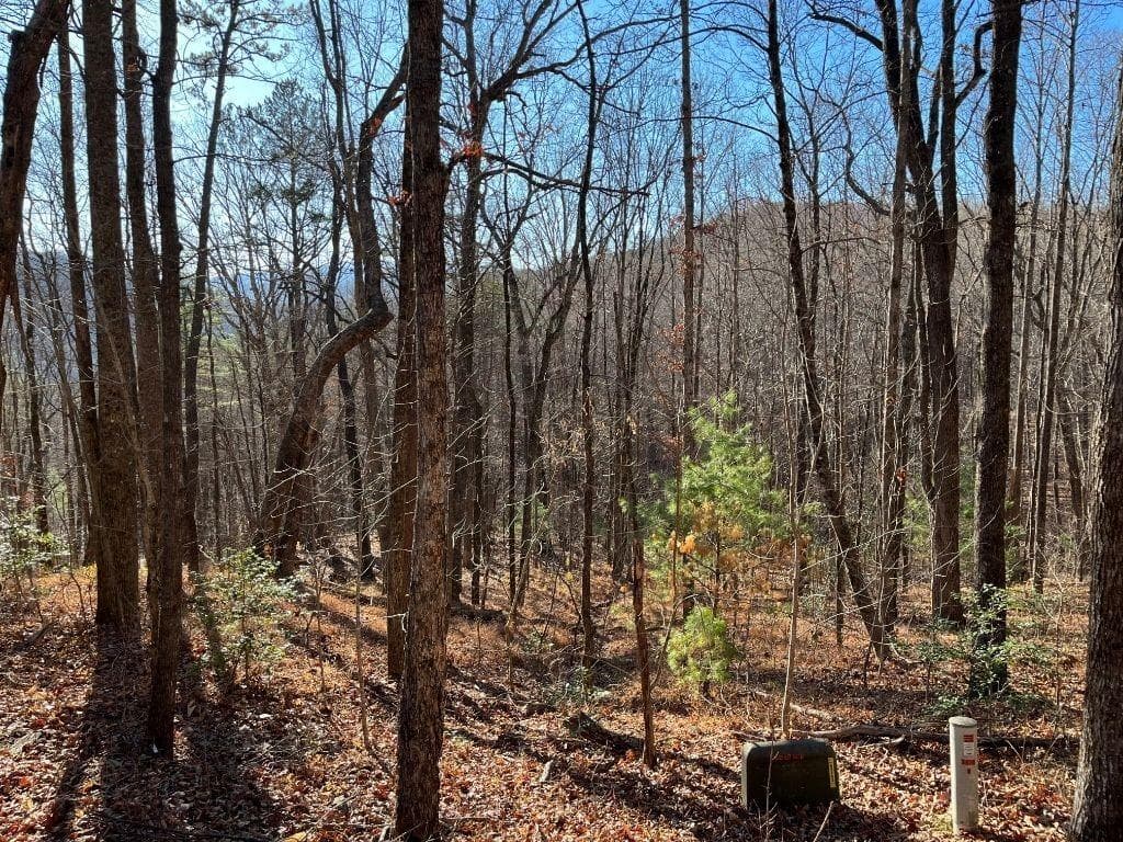 unimproved land for sale at LOT #1 Forest Canopy Way, Clayton, GA 30525 — photo 7