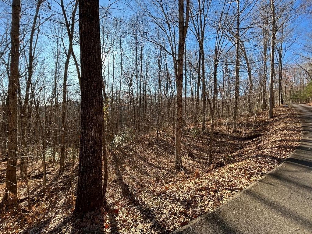 unimproved land for sale at LOT #2 Forest Canopy Way, Clayton, GA 30525 — photo 1 of 9