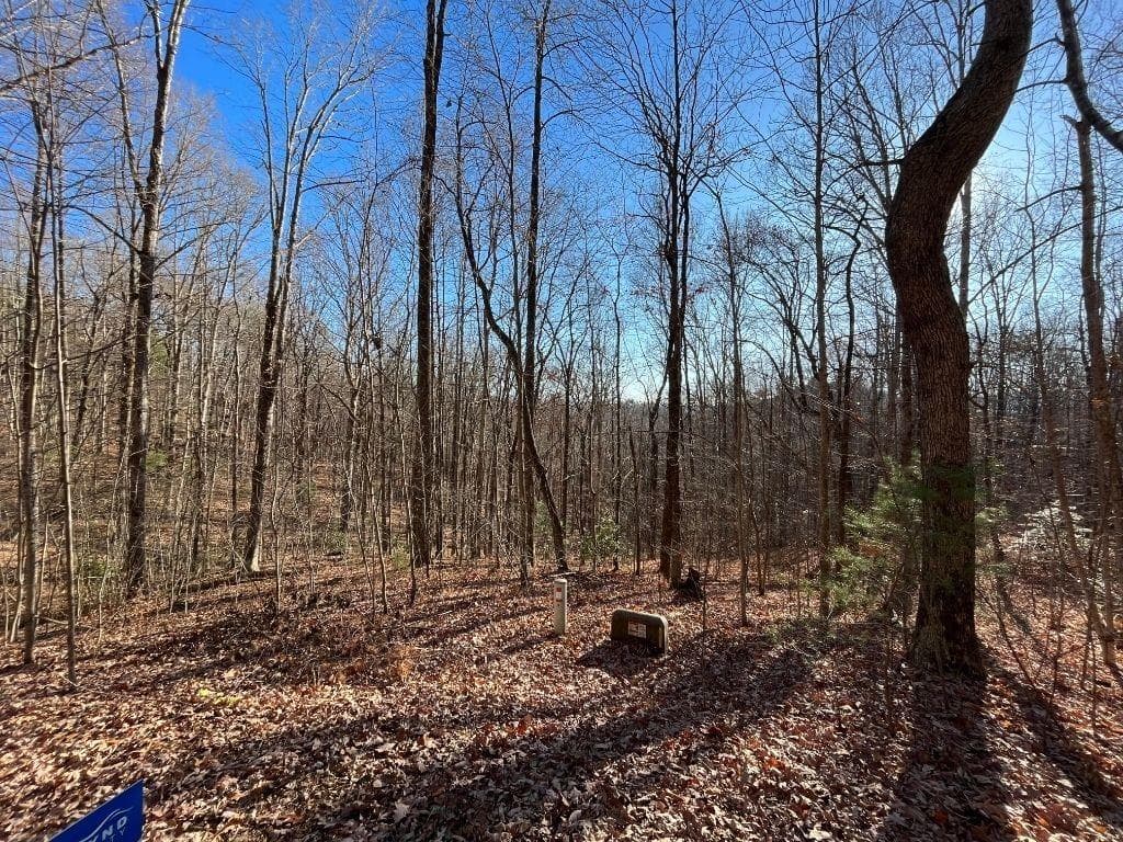 unimproved land for sale at LOT #2 Forest Canopy Way, Clayton, GA 30525 — photo 4
