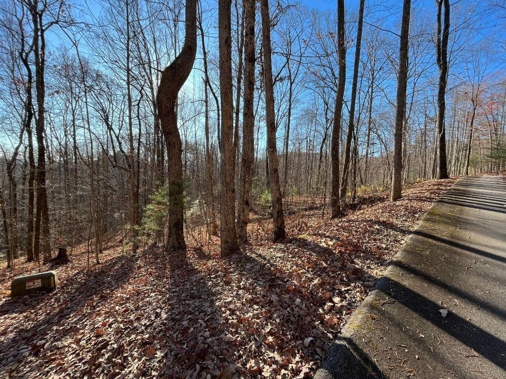 unimproved land for sale at LOT #2 Forest Canopy Way, Clayton, GA 30525 — photo 5