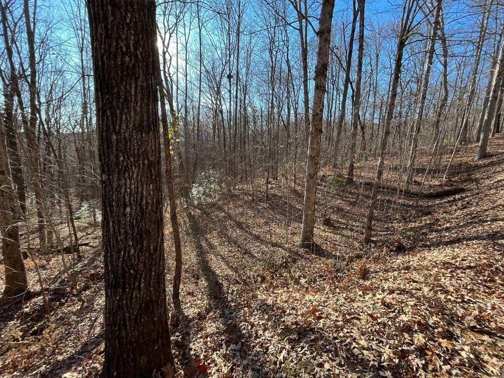 unimproved land for sale at LOT #2 Forest Canopy Way, Clayton, GA 30525 — photo 6