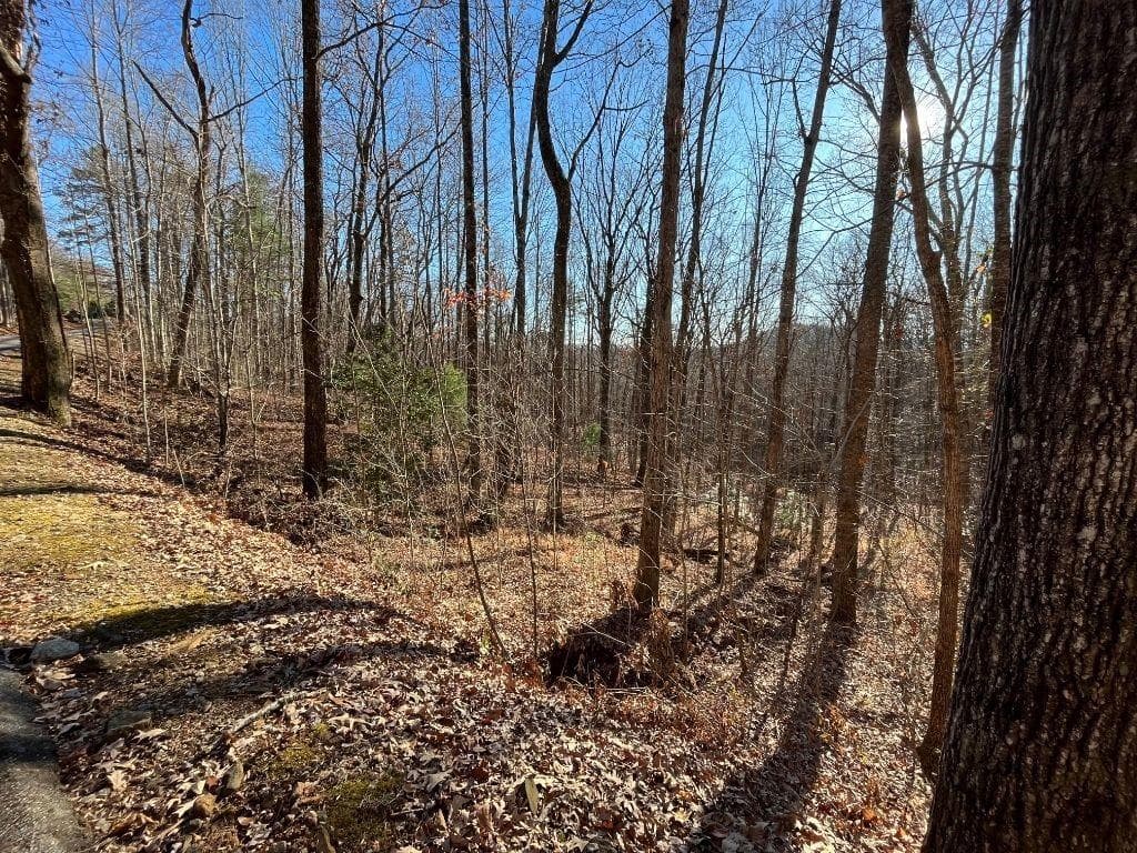 unimproved land for sale at LOT #2 Forest Canopy Way, Clayton, GA 30525 — photo 7