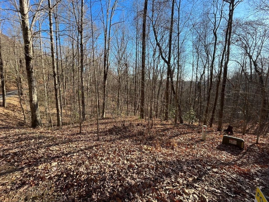 unimproved land for sale at LOT #2 Forest Canopy Way, Clayton, GA 30525 — photo 8