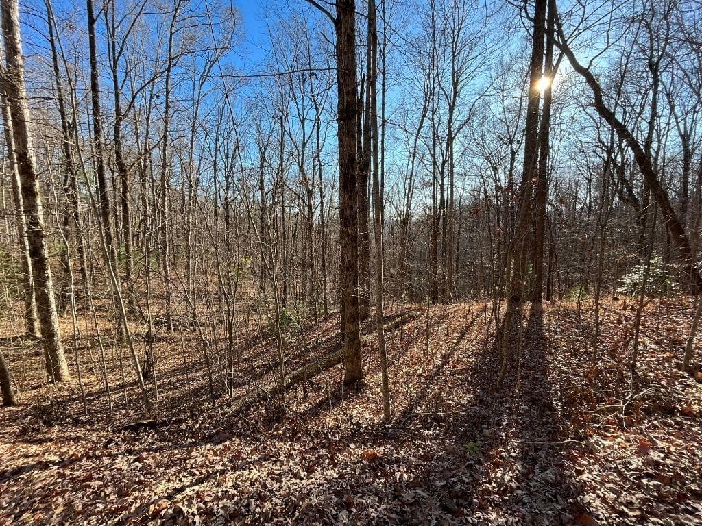 unimproved land for sale at LOT #2 Forest Canopy Way, Clayton, GA 30525 — photo 9