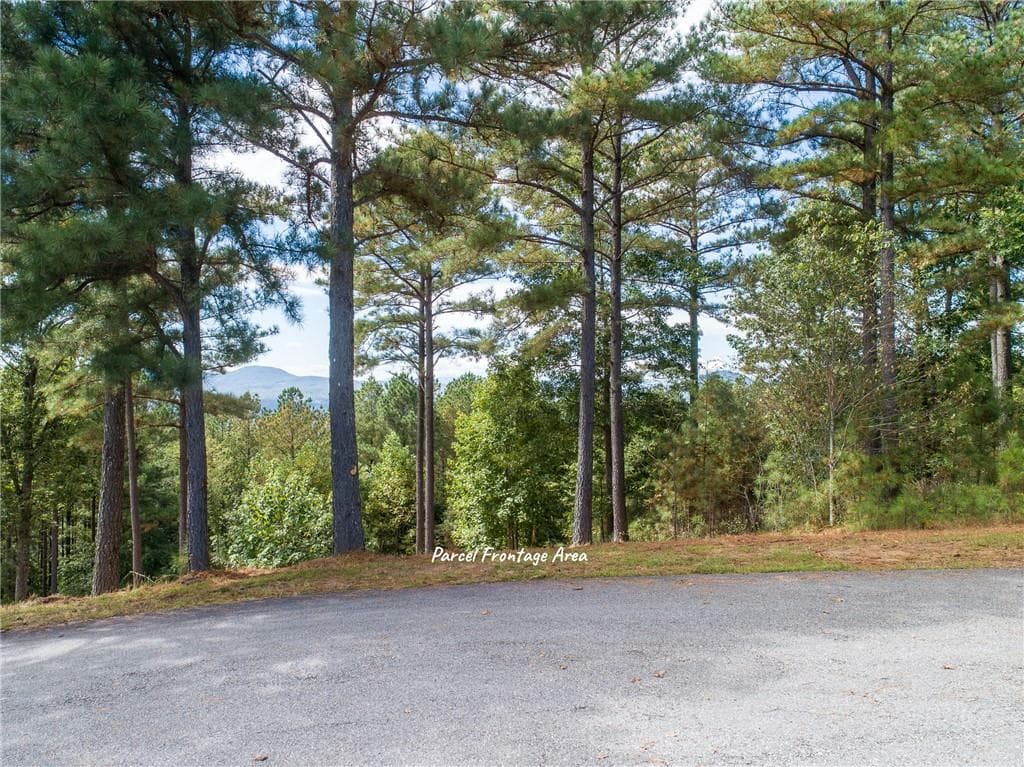 single family residence for sale at Lot 14 Mile High Lane, Blairsville, GA 30512 — photo 4