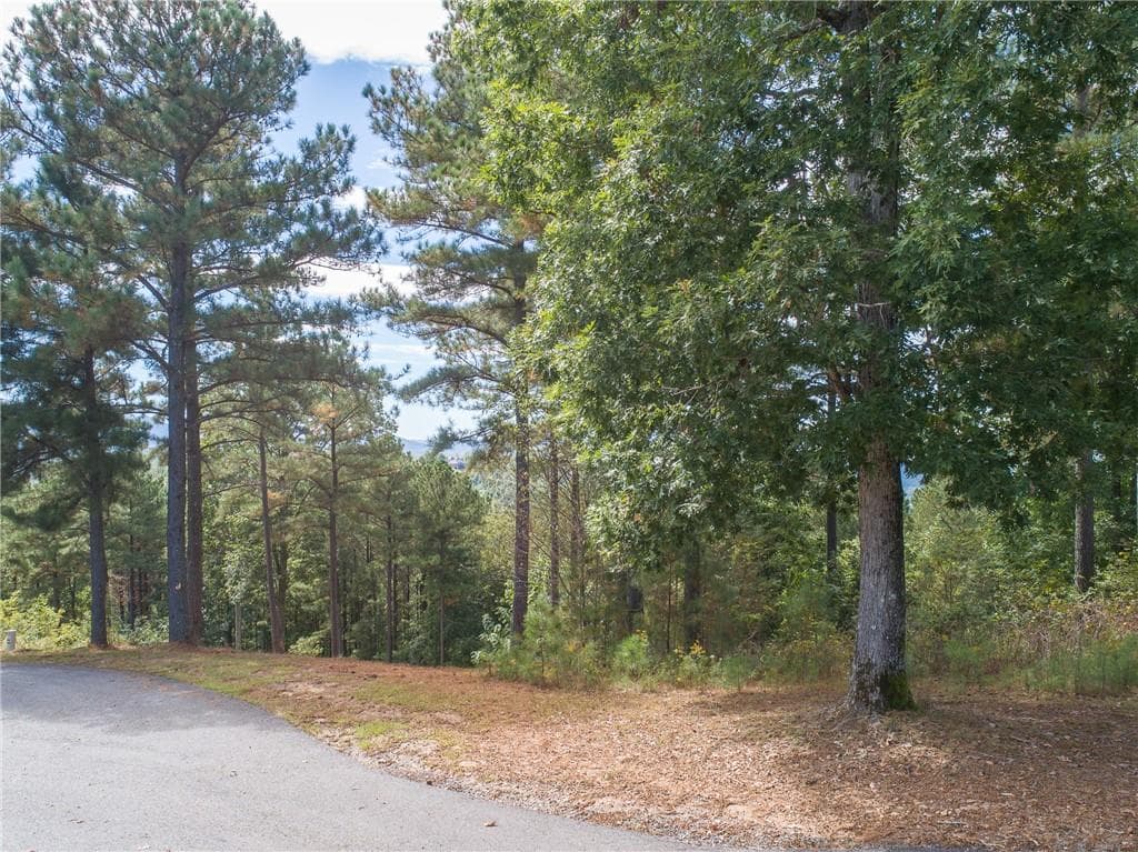 single family residence for sale at Lot 14 Mile High Lane, Blairsville, GA 30512 — photo 5