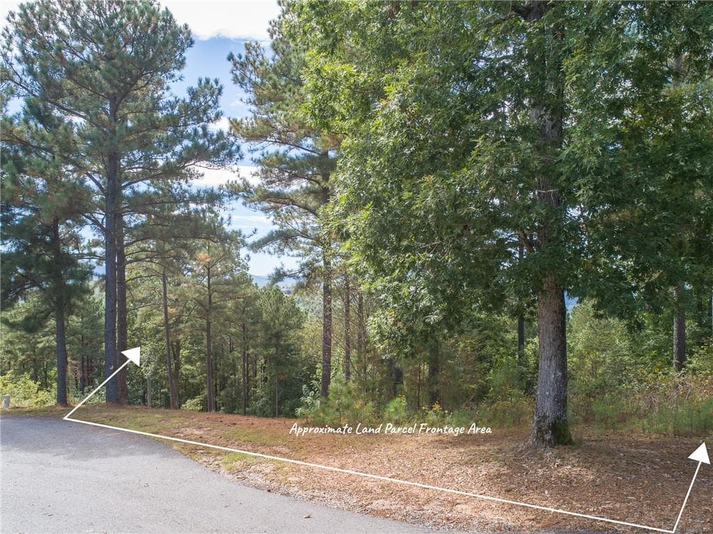 single family residence for sale at Lot 14 Mile High Lane, Blairsville, GA 30512 — photo 6