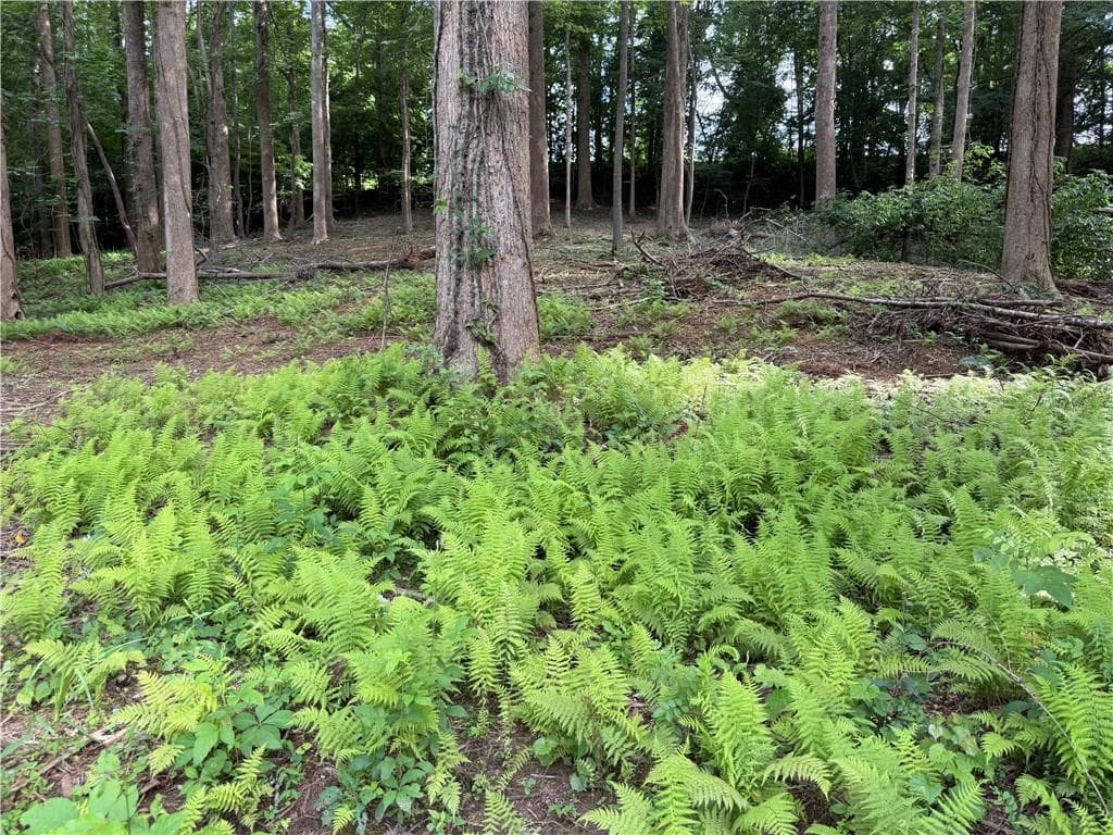 single family residence for sale at 0 Martin Head Circle, Dahlonega, GA 30533 — photo 1 of 4