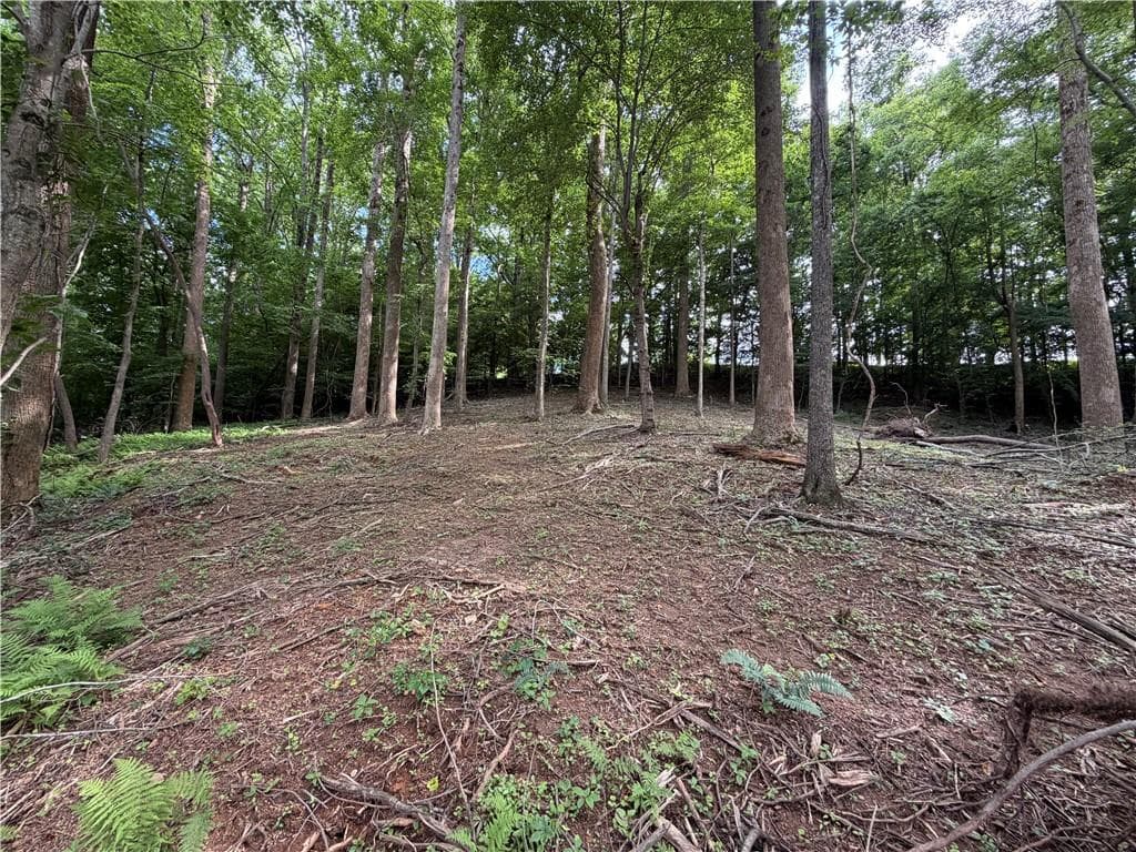 single family residence for sale at 0 Martin Head Circle, Dahlonega, GA 30533 — photo 2
