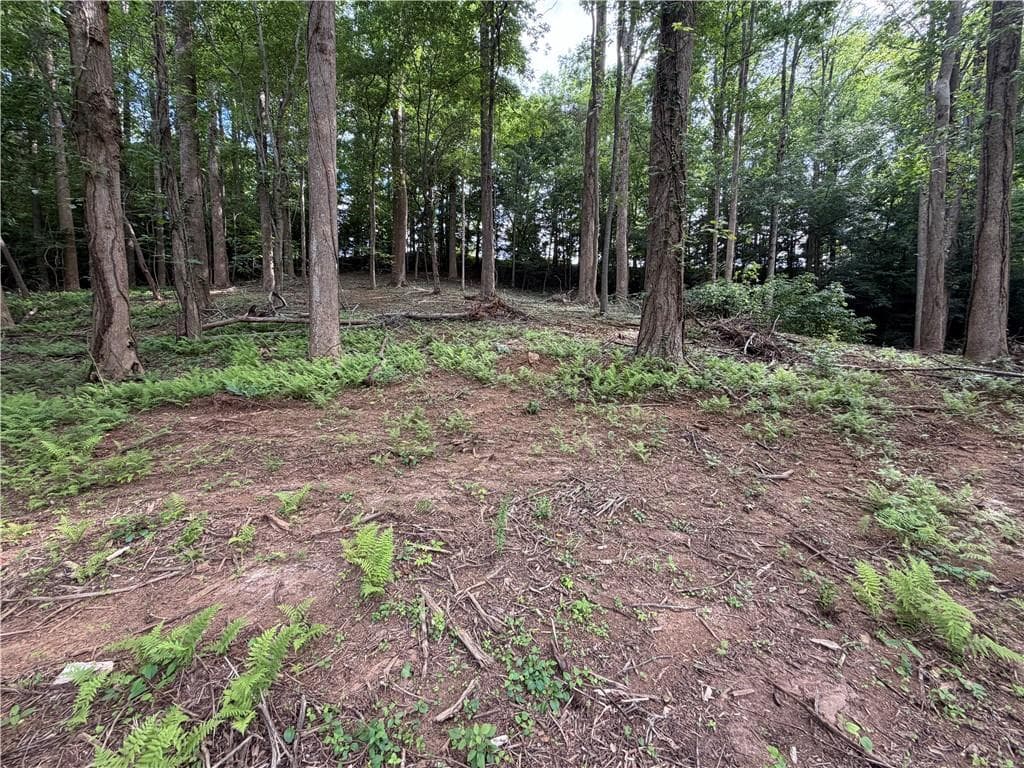 single family residence for sale at 0 Martin Head Circle, Dahlonega, GA 30533 — photo 3