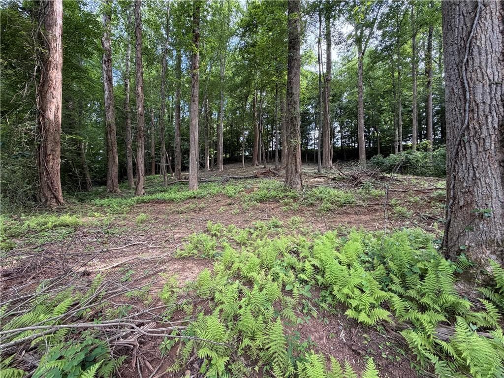 single family residence for sale at 0 Martin Head Circle, Dahlonega, GA 30533 — photo 4