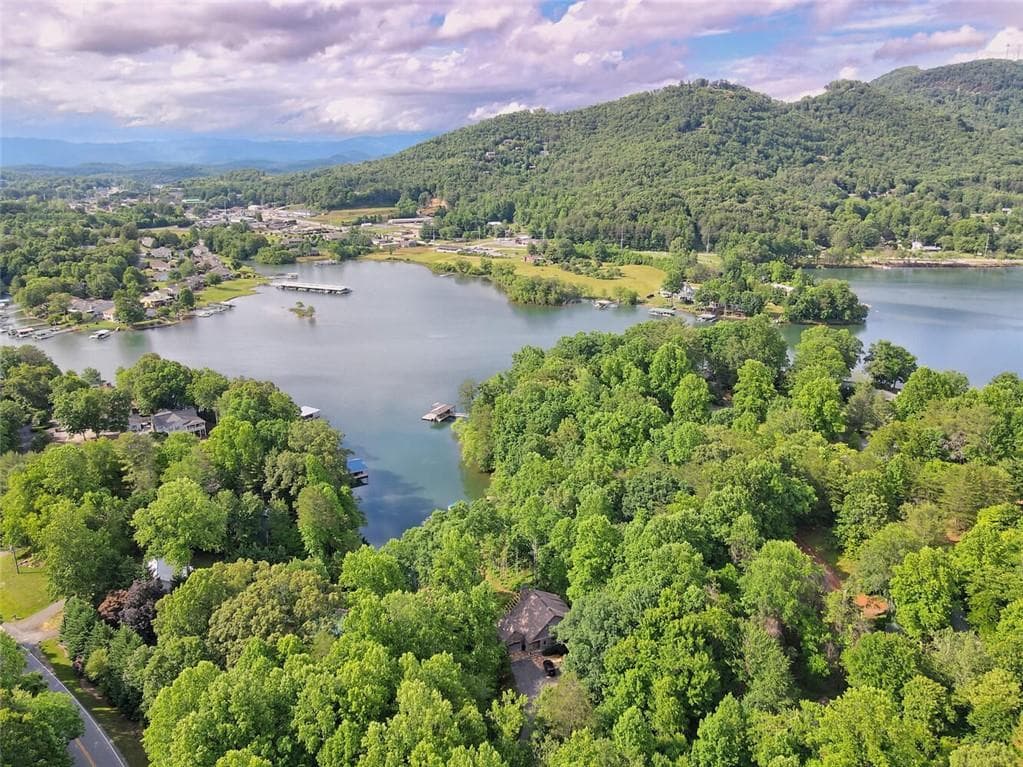 3 bedroom, 4 bathroom, 4,709 sq ft single family residence for rent at 1189 Sunnyside Road, Hiawassee, GA 30546 for $5,000 a month — photo 5
