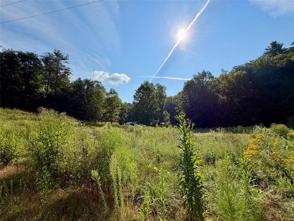 3 bedroom, 3 bathroom, 2,068 sq ft single family residence under contract at 1657 Nimblewill Gap Road, Dahlonega, GA 30533 — photo 3