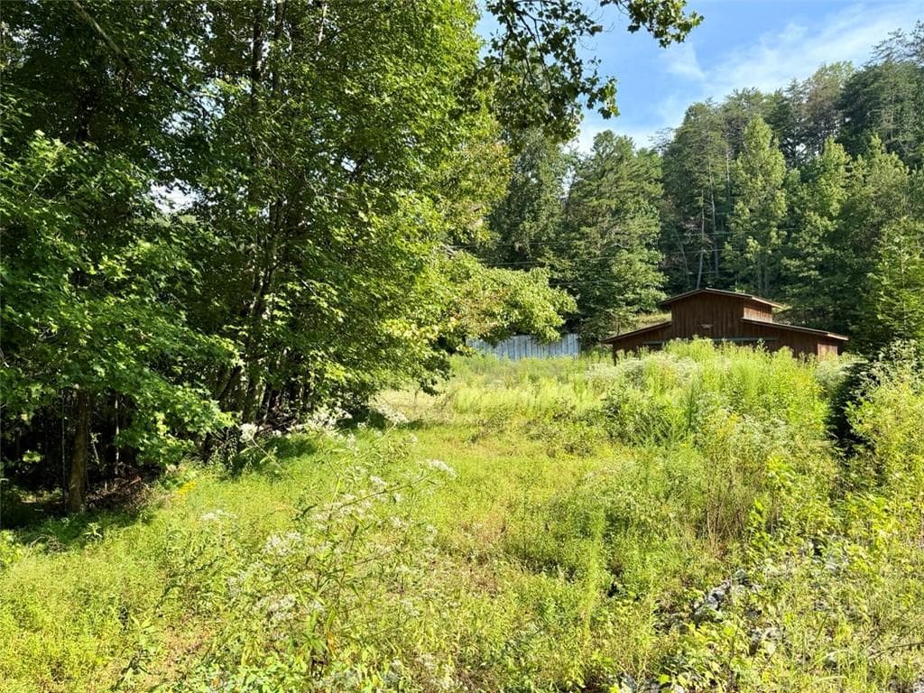 3 bedroom, 3 bathroom, 2,068 sq ft single family residence under contract at 1657 Nimblewill Gap Road, Dahlonega, GA 30533 — photo 5