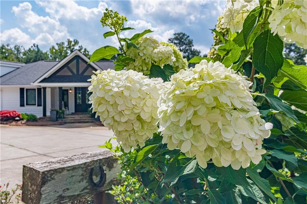 4 bedroom, 5 bathroom, 5,792 sq ft single family residence for sale at 9667 Ephesus Church Road, Villa Rica, GA 30180 — photo 10