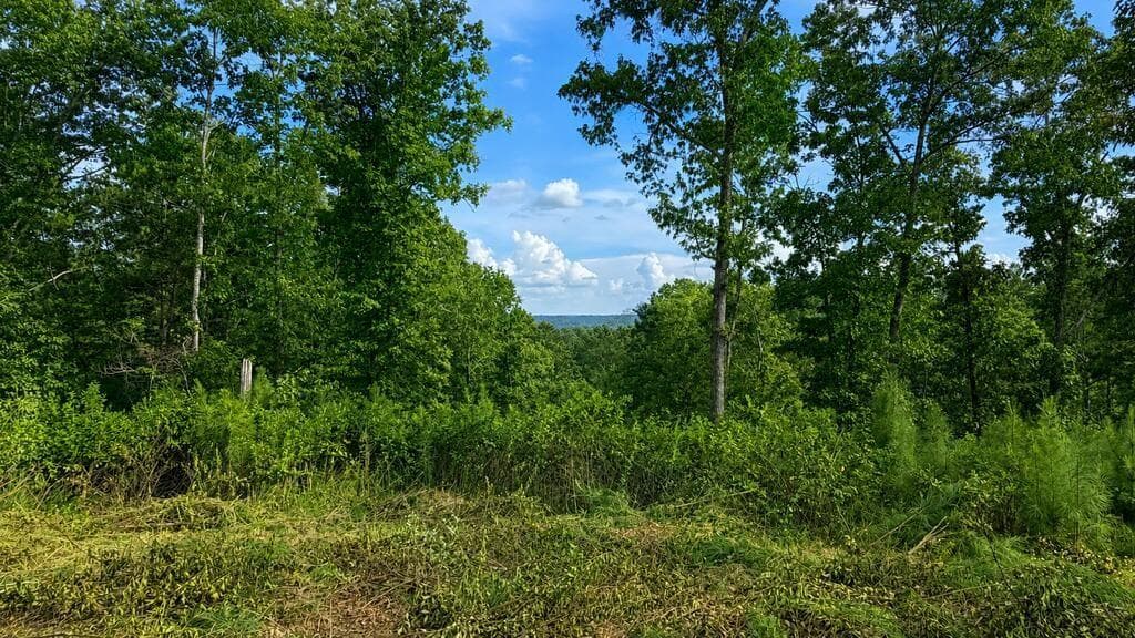 unimproved land for sale at 0 Shallow Water Way, Talking Rock, GA 30175 — photo 3