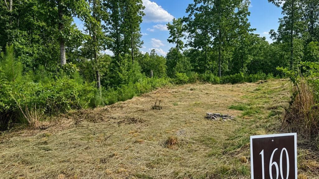 unimproved land for sale at 0 Shallow Water Way, Talking Rock, GA 30175 — photo 4