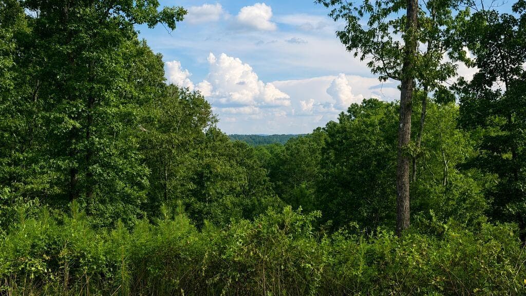 unimproved land for sale at 0 Shallow Water Way, Talking Rock, GA 30175 — photo 5