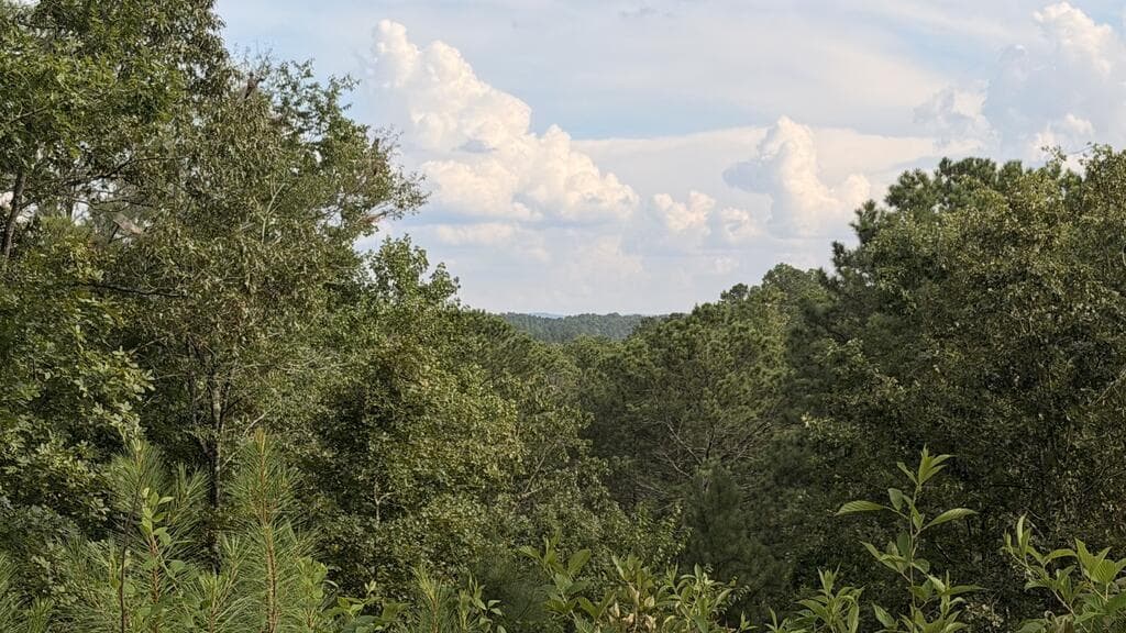 unimproved land for sale at 0 Shallow Water Way, Talking Rock, GA 30175 — photo 6
