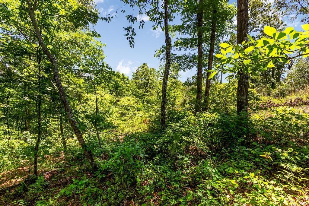 unimproved land for sale at 0 Shallow Water Way, Talking Rock, GA 30175 — photo 7