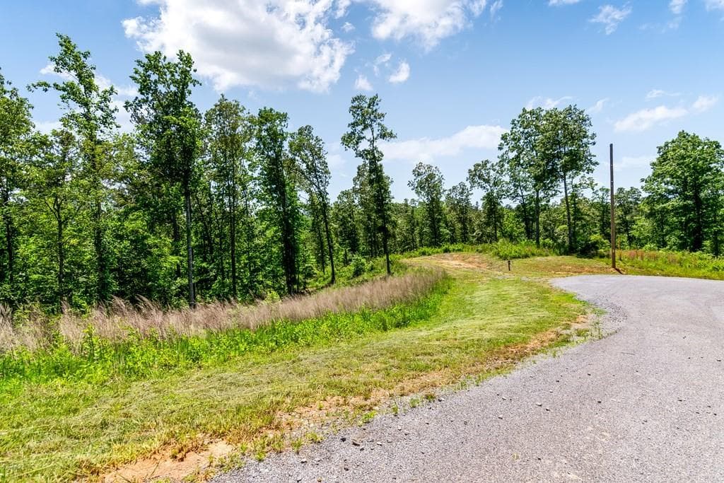 unimproved land for sale at 0 Shallow Water Way, Talking Rock, GA 30175 — photo 8