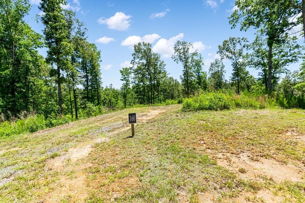 unimproved land for sale at 0 Shallow Water Way, Talking Rock, GA 30175 — photo 9