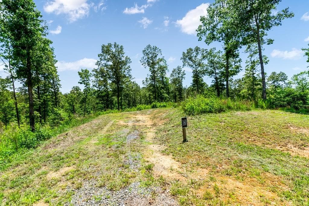 unimproved land for sale at 0 Shallow Water Way, Talking Rock, GA 30175 — photo 10