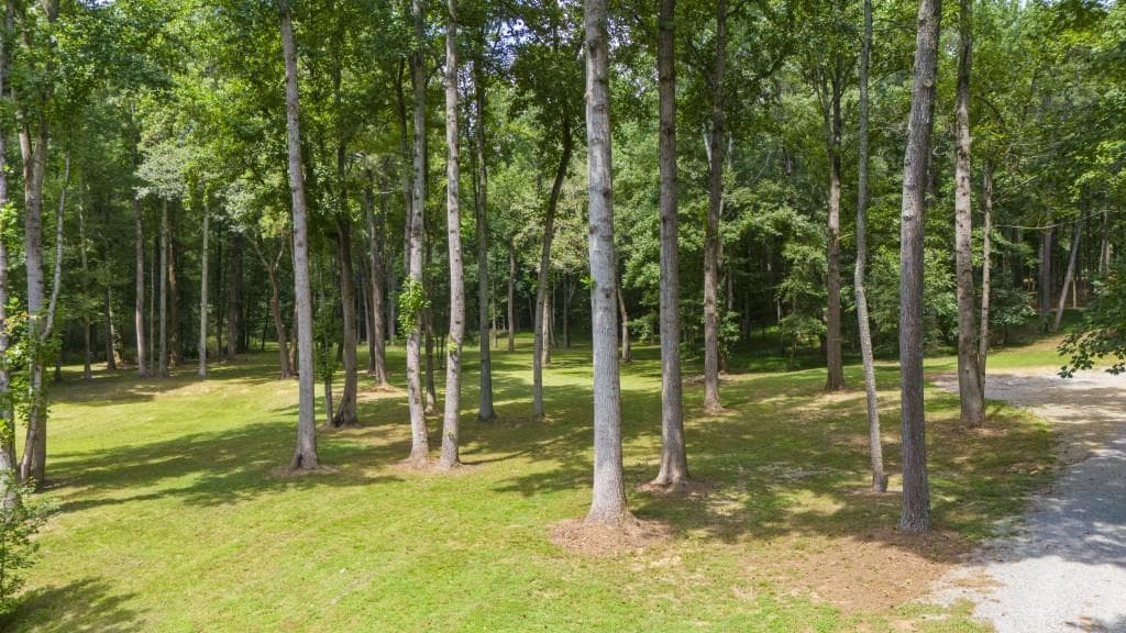 unimproved land for sale at 383 Liberty Grove Rd, Alpharetta, GA 30004 — photo 6