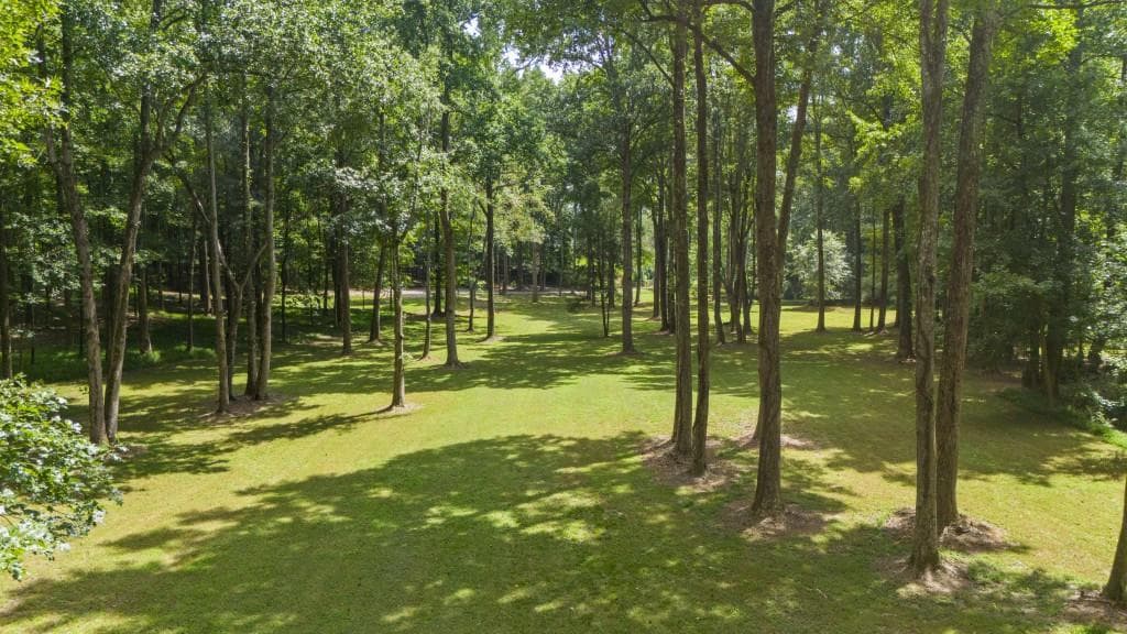 unimproved land for sale at 383 Liberty Grove Rd, Alpharetta, GA 30004 — photo 10