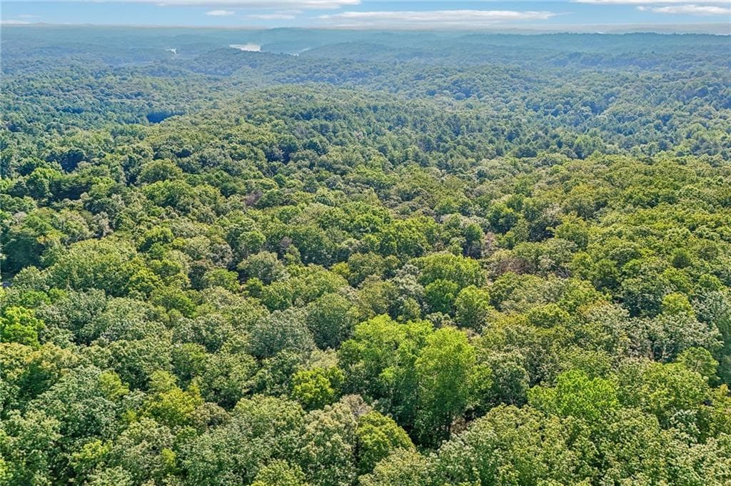 unimproved land under contract at 0 Nix Rd, Dawsonville, GA 30534 — photo 2