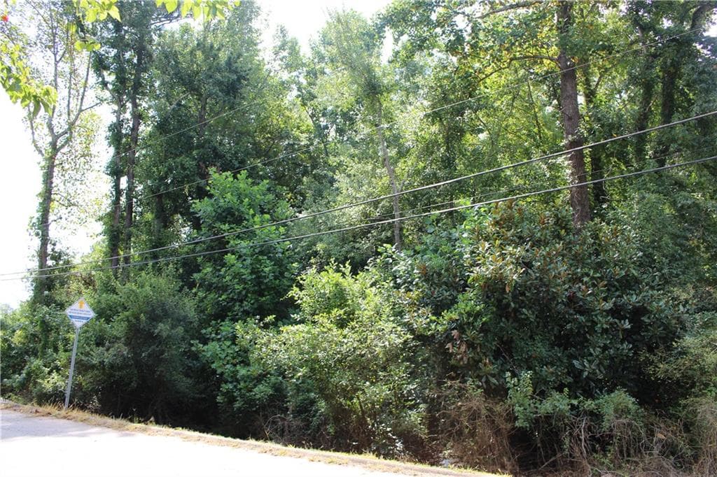 unimproved land for sale at 218 Ella Drive, Griffin, GA 30223 — photo 2